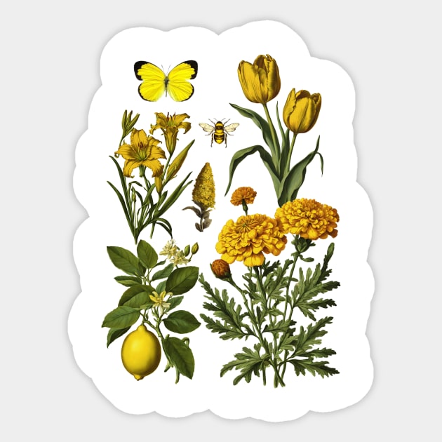 Yellow Botanicals Sticker by Kelly Jenkins